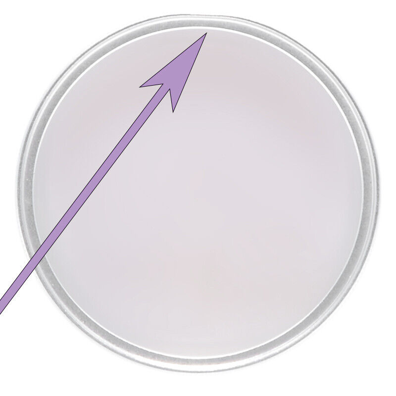 48mm. Filtro Skylight 1x Canon innesto a vite M55. Vintage Sky light lens filter - immagine 4